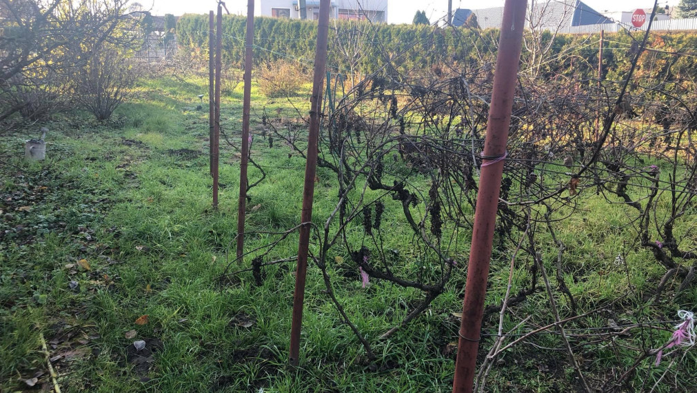 Na predaj pozemok vo výmere 450 m2